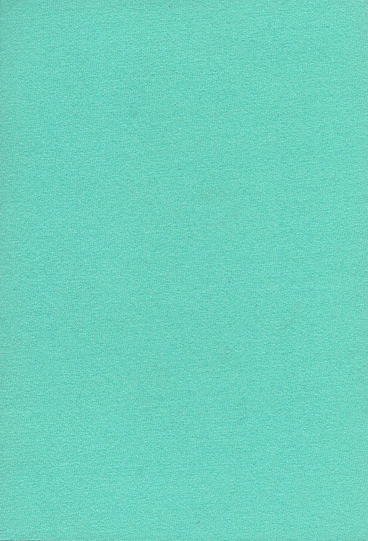 mint.jpg