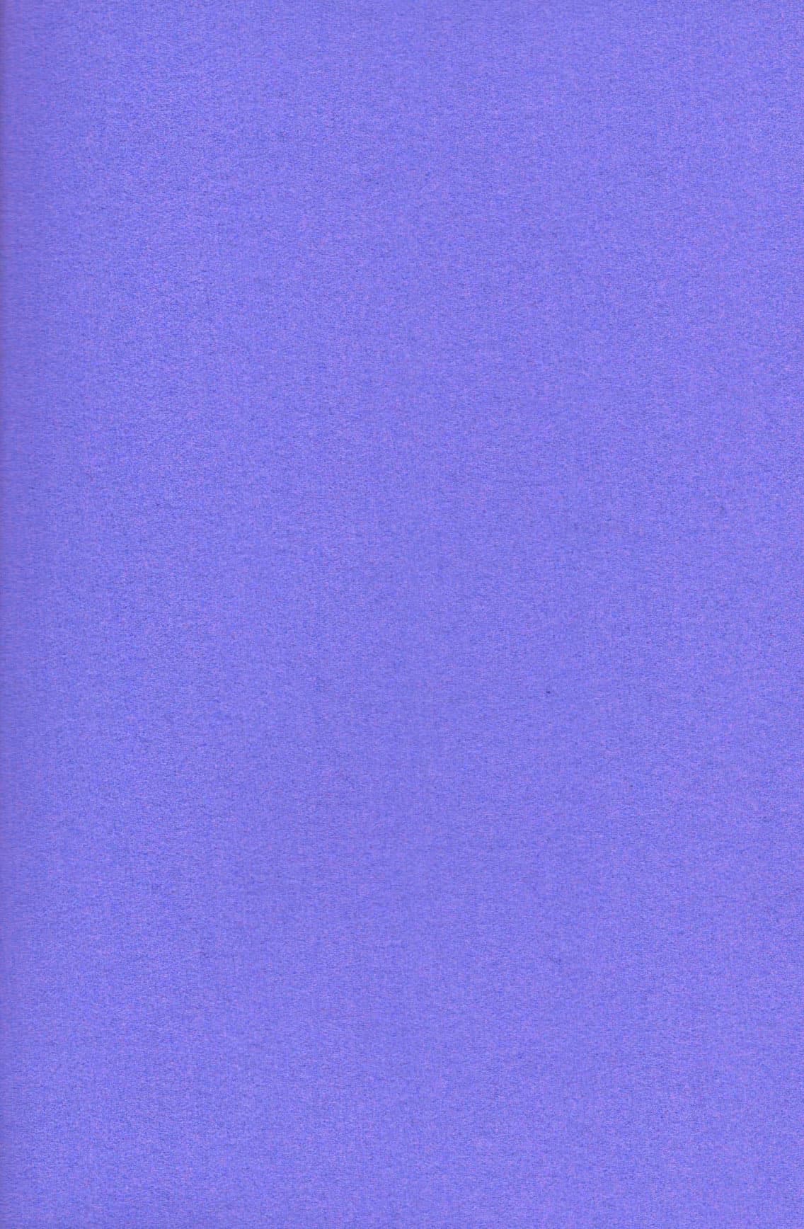 lavender.jpg